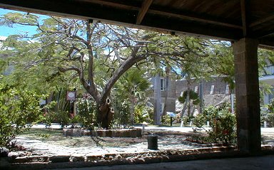 courtyard