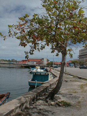 The Careenage, Bridgetown