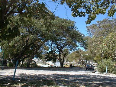 The park in Bridgetown