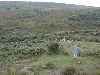 Our Campsite on Dartmoor