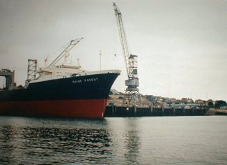The freighters at Falmouth