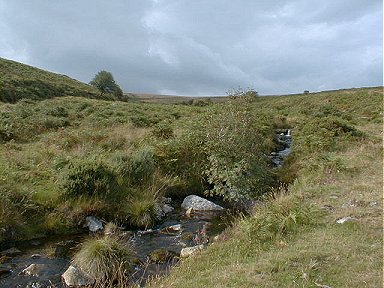 The River Mardle